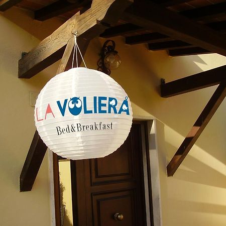 La Voliera Bed & Breakfast Pisa Esterno foto